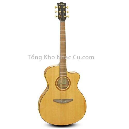 Đàn Guitar Acoustic Everest E100-AC